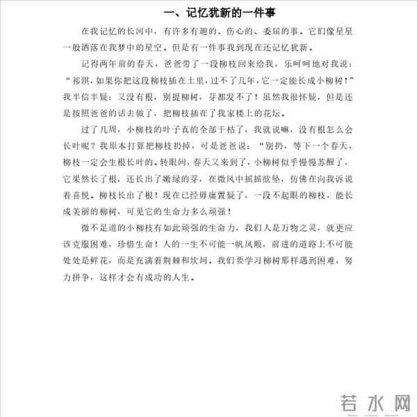 小学生作文范文(写事题材)