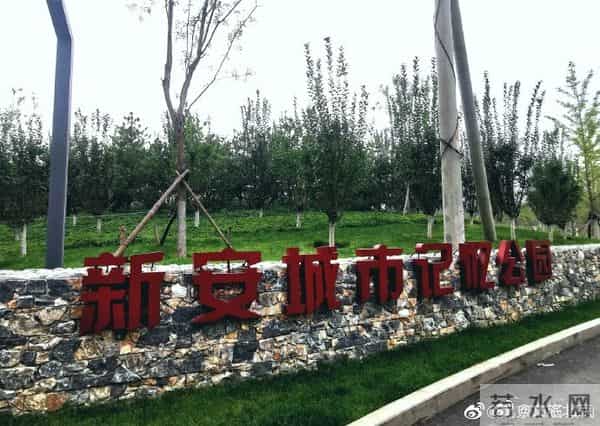 一片森林 一段记忆 和一种生活