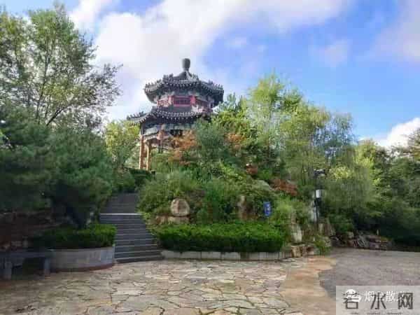 刘学光|-一棵有灵魂的树