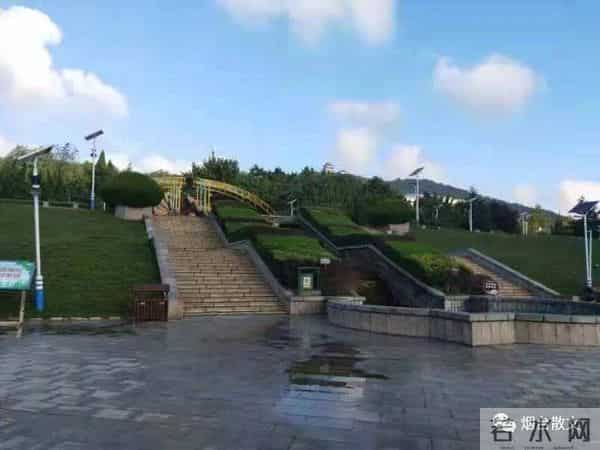 刘学光|-一棵有灵魂的树