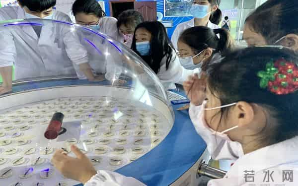 区科协做客 FM104.3《民生访谈》推介特色科普活动