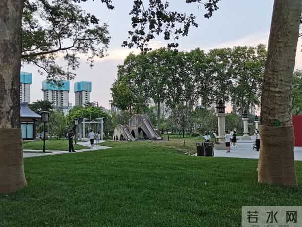 碎路、秃草、消失的大树：亲身感受改造后的兴庆公园