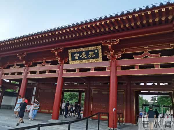 碎路、秃草、消失的大树：亲身感受改造后的兴庆公园