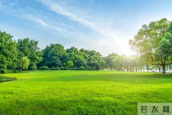 逛逛公园,滋养自己