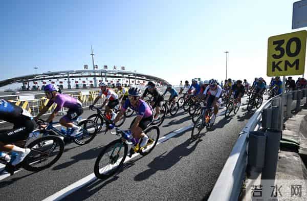 大看台丨我们共同的湾区记忆，这一次又添华章！