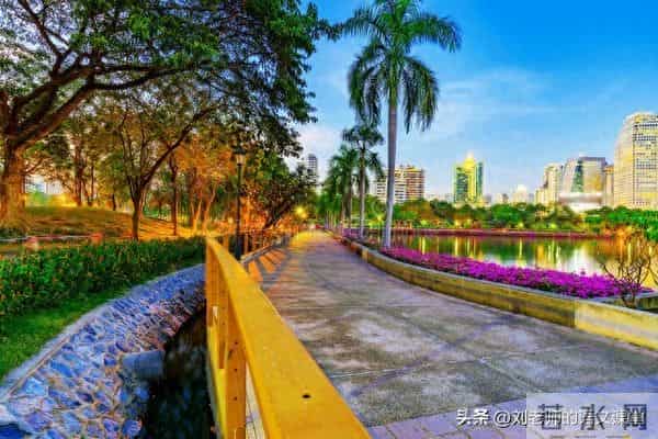 四年级下册语文第四单元《我的动物朋友》高分作文3篇+评语