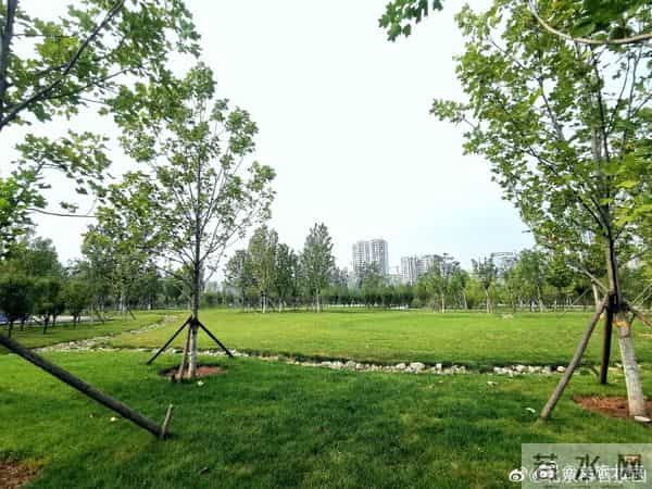 一片森林 一段记忆 和一种生活