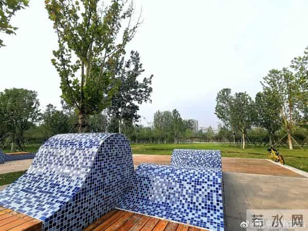 一片森林 一段记忆 和一种生活