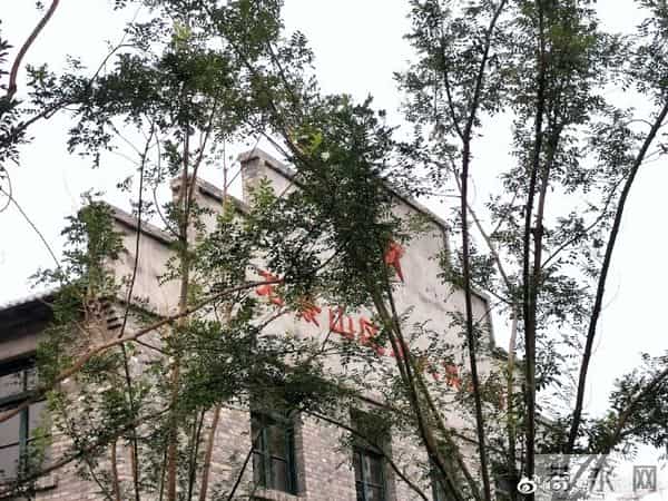 一片森林 一段记忆 和一种生活