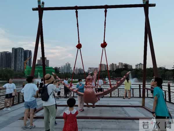 碎路、秃草、消失的大树：亲身感受改造后的兴庆公园