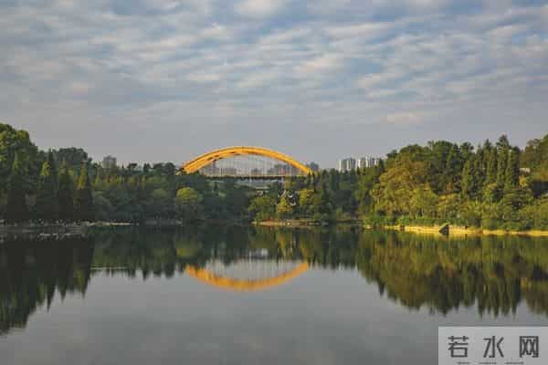 逛逛公园,滋养自己