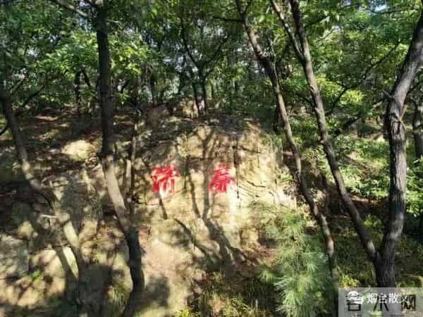 刘学光|-一棵有灵魂的树