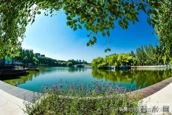 四年级下册语文第四单元《我的动物朋友》高分作文3篇+评语