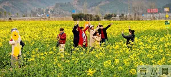 四川朝天：油菜花开 激活春日“美丽经济” - 在四川遇见最美春天