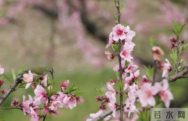 和老母亲住一起6年,我终于明白:对父母心疼过度,就是在坑自己