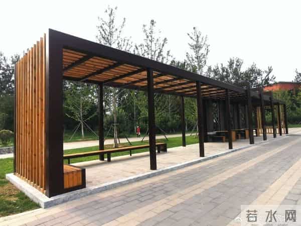 一片森林 一段记忆 和一种生活