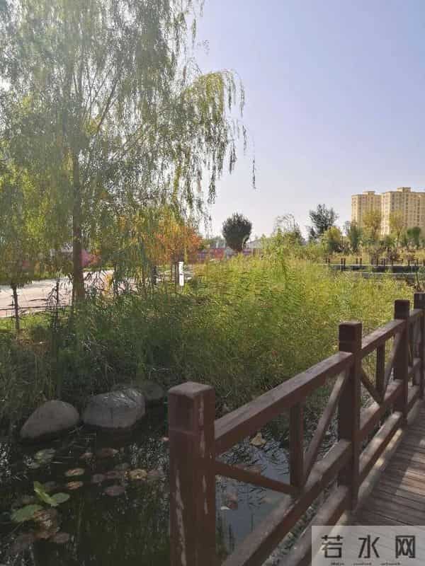 全国中学生优秀作文展——乡情（作者：刘齐鑫蕊)