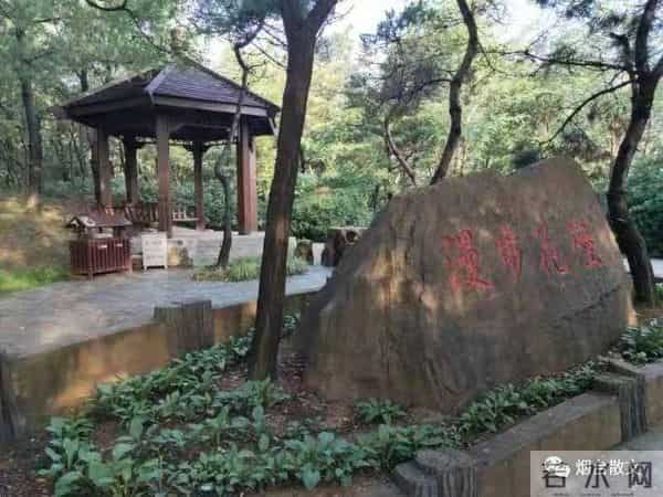 刘学光|-一棵有灵魂的树