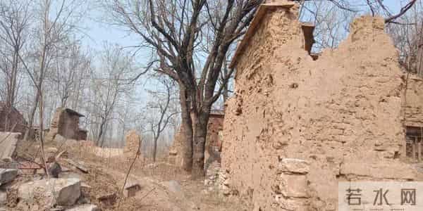 散文《我家的老宅院》作者:尹燕忠