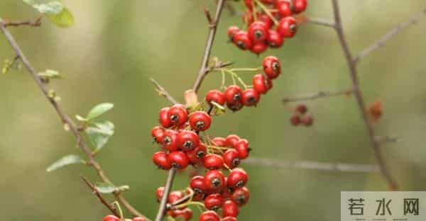 和老母亲住一起6年,我终于明白:对父母心疼过度,就是在坑自己