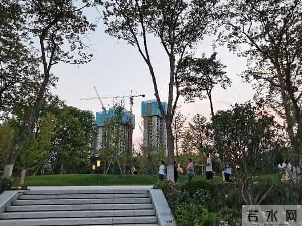 碎路、秃草、消失的大树：亲身感受改造后的兴庆公园