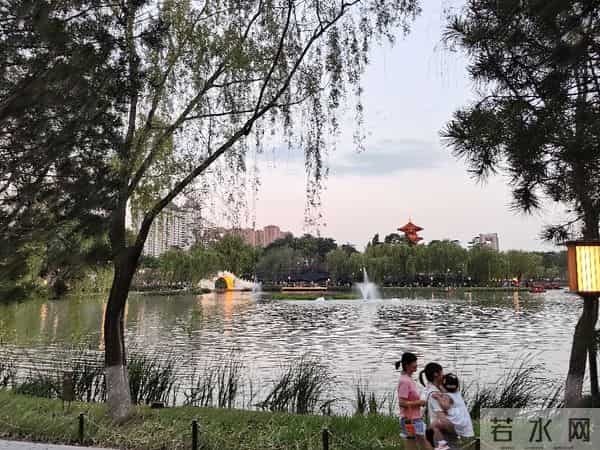 碎路、秃草、消失的大树：亲身感受改造后的兴庆公园