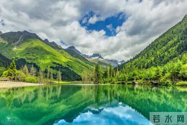 写观察日记（四年级第三单元作文范文22篇）