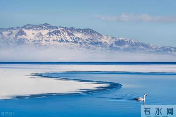 写观察日记（四年级第三单元作文范文22篇）