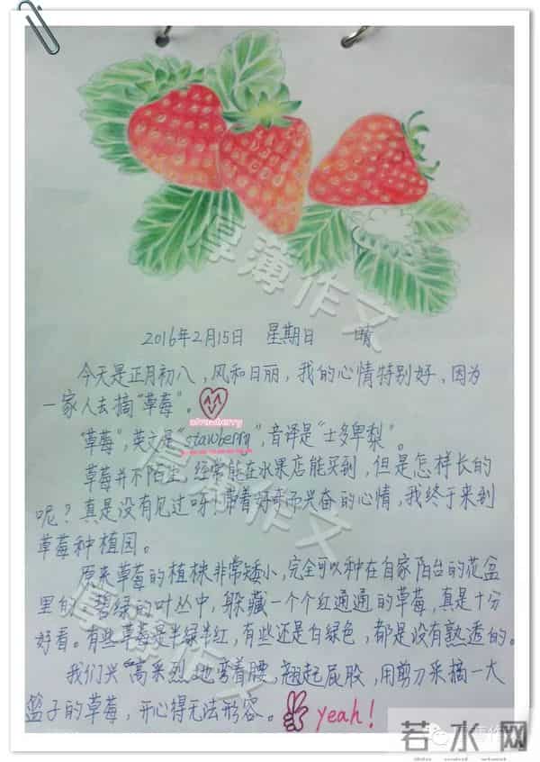 写作文,就该如此积累!这就是绘本日记《摘草莓》