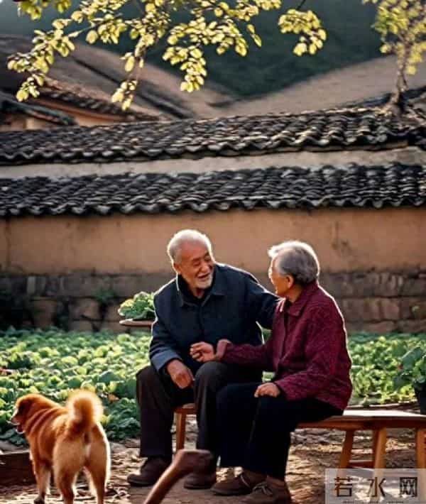 进城带孙子五年,孙子上幼儿园后,我准备回老家,儿媳竟追到车站
