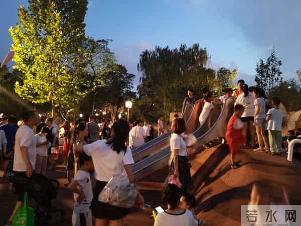 碎路、秃草、消失的大树：亲身感受改造后的兴庆公园