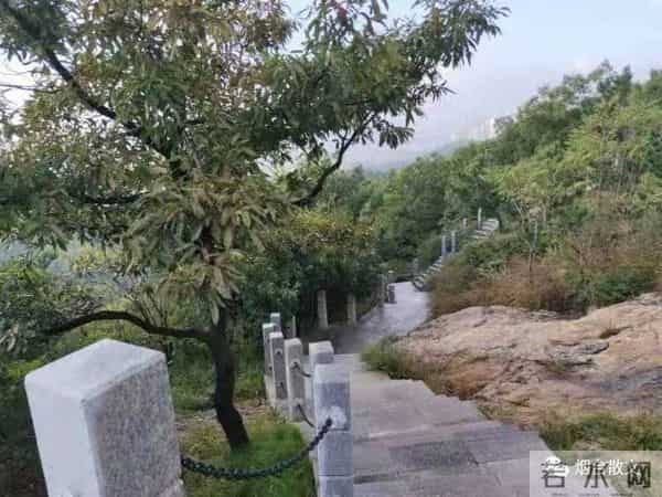 刘学光|-一棵有灵魂的树