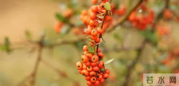 和老母亲住一起6年,我终于明白:对父母心疼过度,就是在坑自己