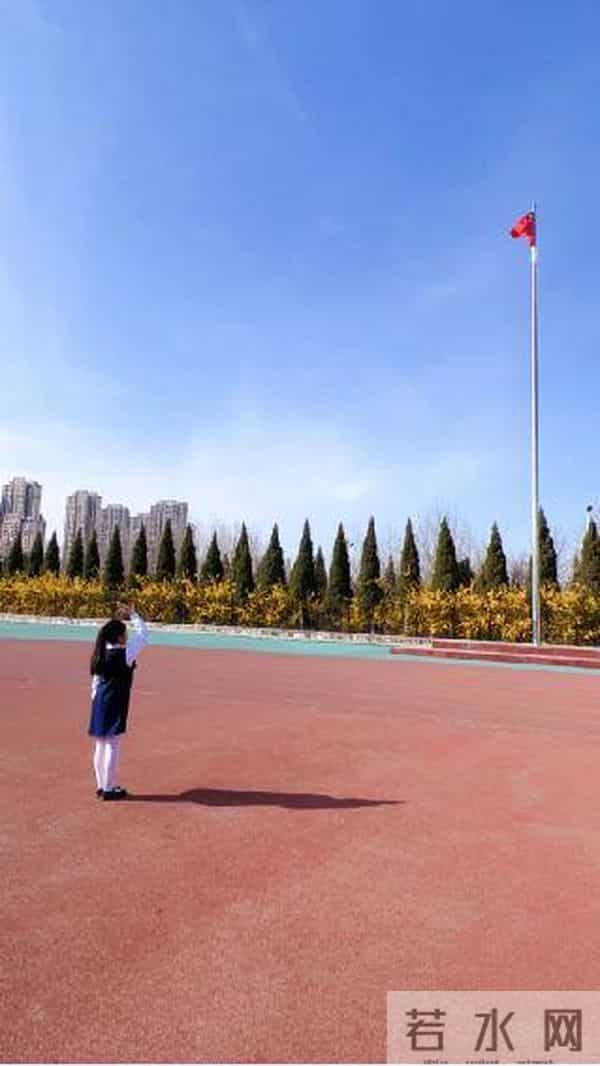 童诗:如果我是一只小鸟|烟台中小学生习作园地