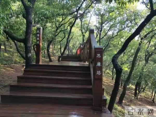 刘学光|-一棵有灵魂的树