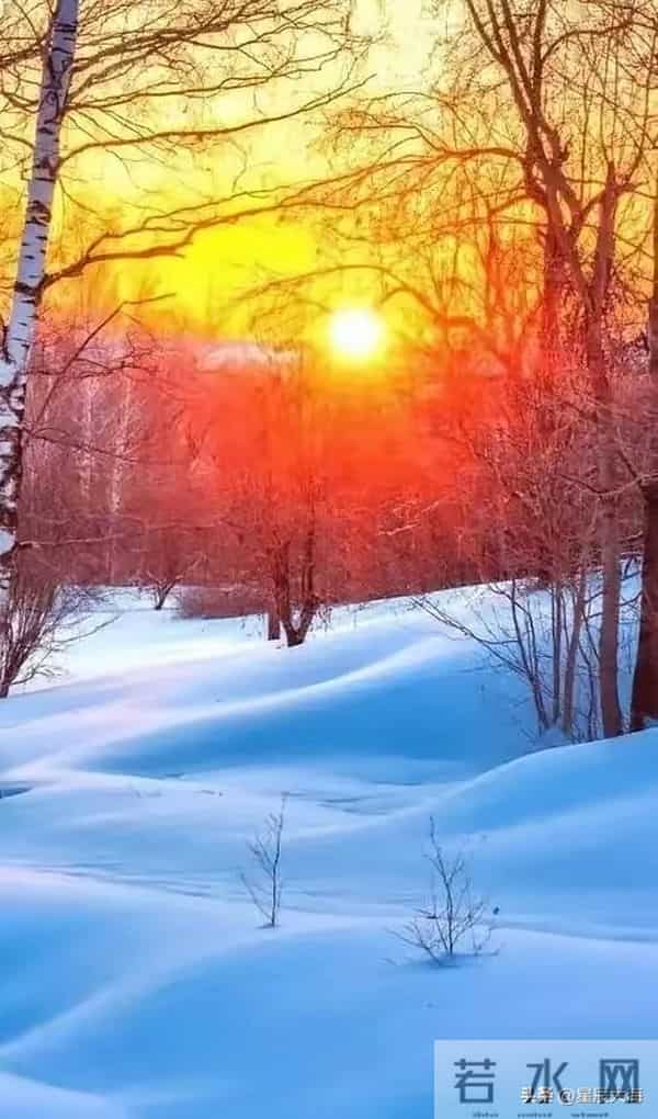 独处，是一种意境，独处，是一份清欢。与自己对坐，让寂静抚摸