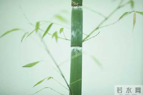 《唐诗三百首》中的50句对偶名句，汉语真的太美了!