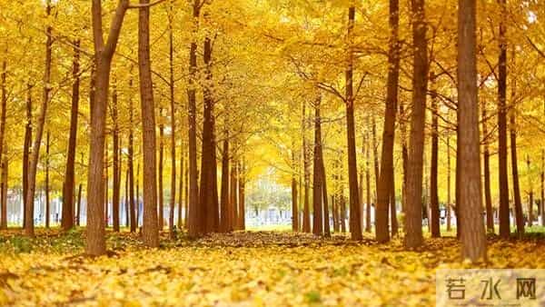 夜读｜老同学聚会