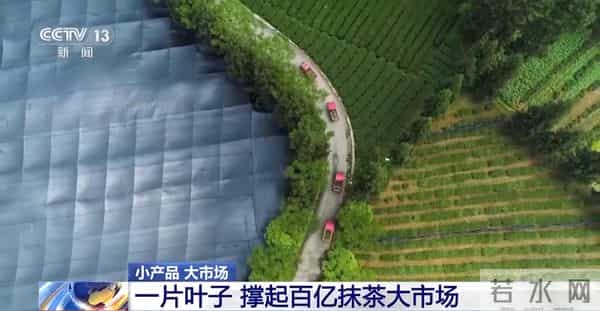 从一片树叶、一杯咖啡到美妆小瓶罐 看小产品如何撬动大市场