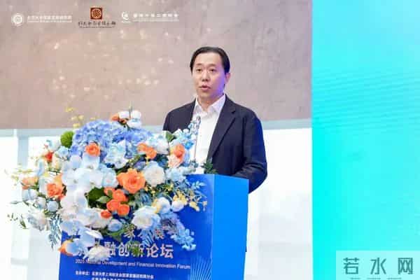 “2025国家发展与金融创新”论坛在上海举行