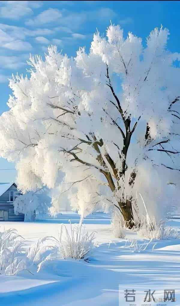 独处，是一种意境，独处，是一份清欢。与自己对坐，让寂静抚摸