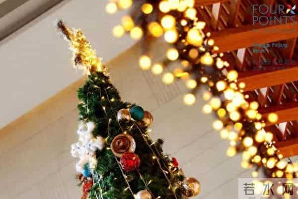 “爪爪心愿 暖冬童话夜” 蒲江福朋喜来登度假酒店圣诞亮灯温情启幕