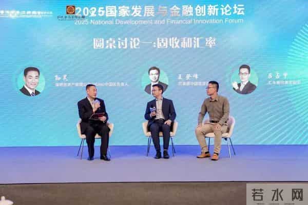 “2025国家发展与金融创新”论坛在上海举行