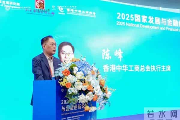 “2025国家发展与金融创新”论坛在上海举行