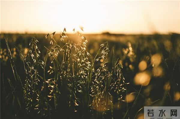 金子般的几句话，不知道是谁写的，句句是良言，送给朋友