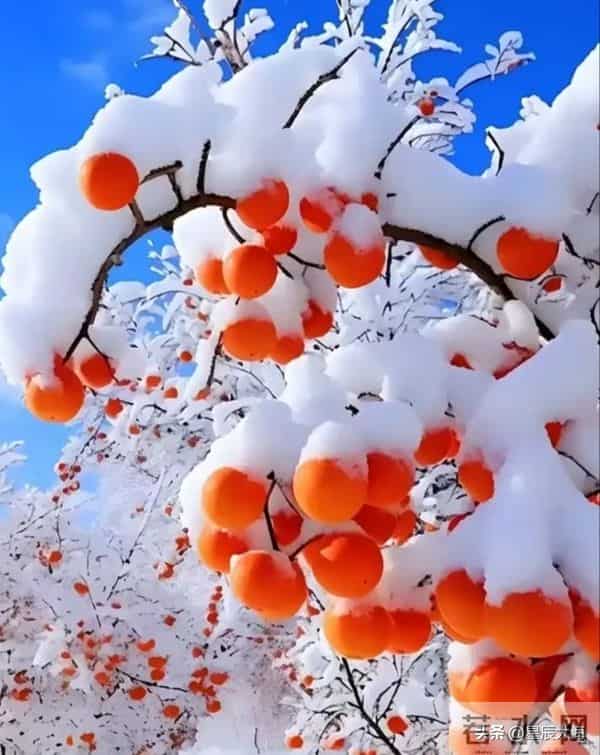 独处，是一种意境，独处，是一份清欢。与自己对坐，让寂静抚摸