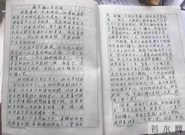 14岁初中生作文看哭全网！“只是一层薄薄的土，人与人就再难相见了”