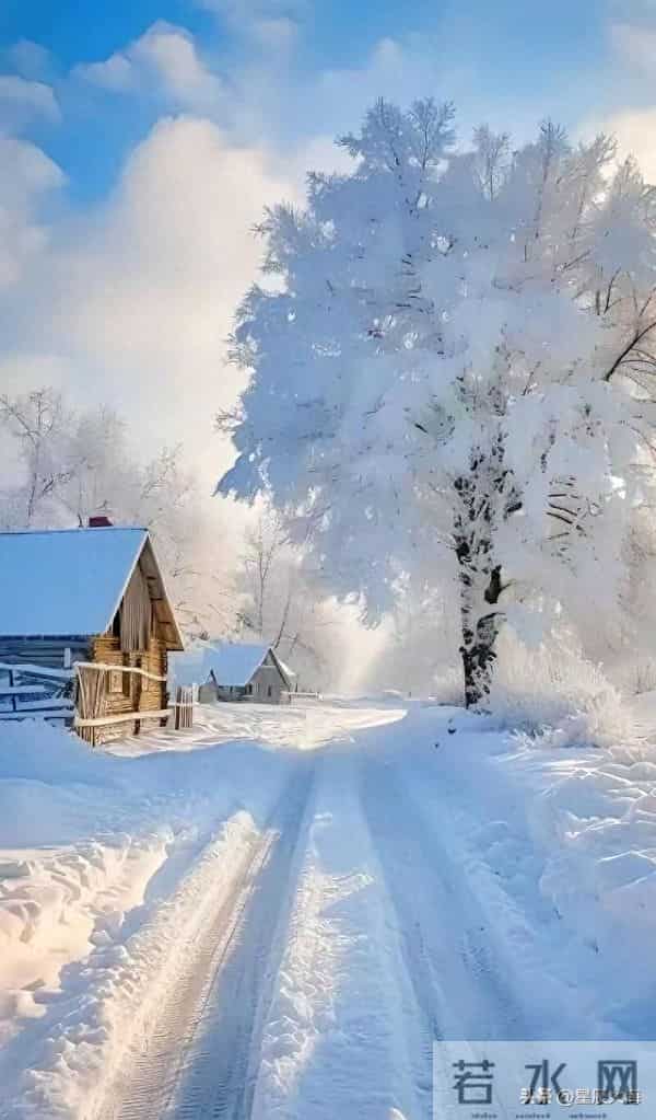 独处，是一种意境，独处，是一份清欢。与自己对坐，让寂静抚摸