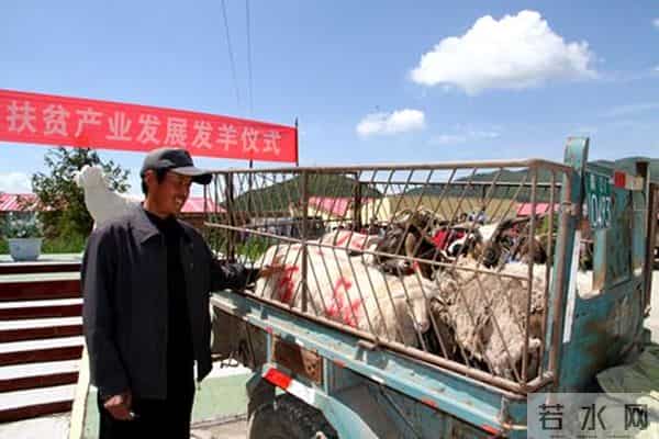 愈挫愈勇逐梦小康的阿怀禄