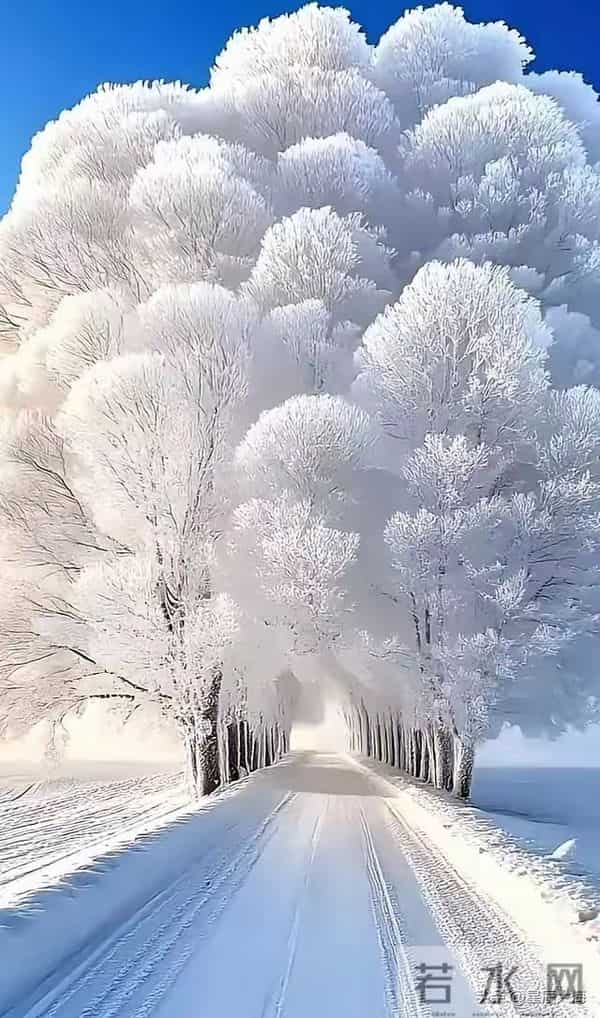 独处，是一种意境，独处，是一份清欢。与自己对坐，让寂静抚摸